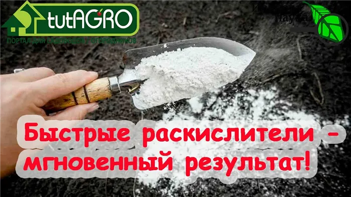 КАК БЫСТРО РАСКИСЛИТЬ ПОЧВУ? 3 полезных и 2 очень вредных непростительных совета в одном видео!