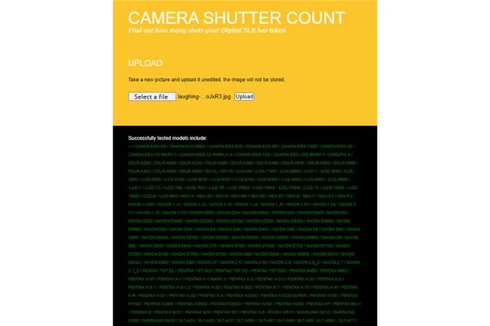 sony shutter count